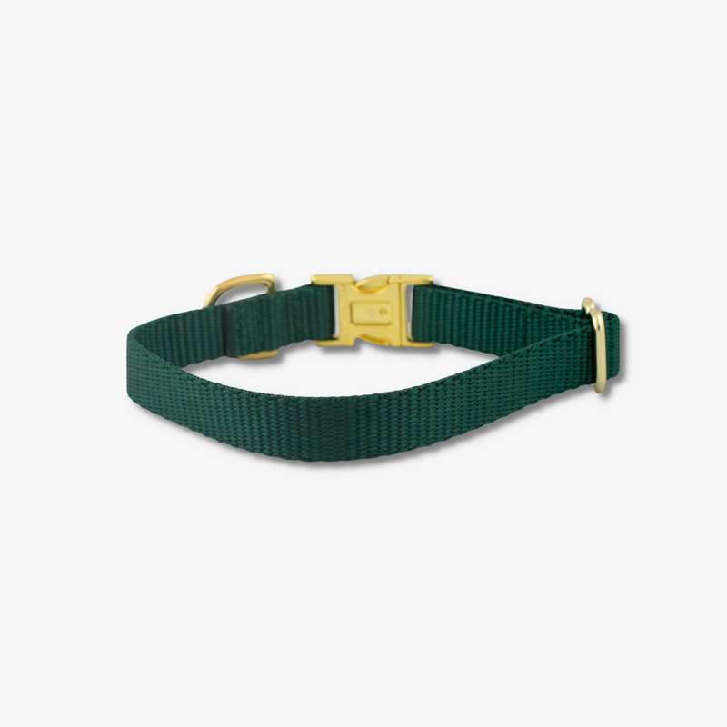 green dog collar made in canada