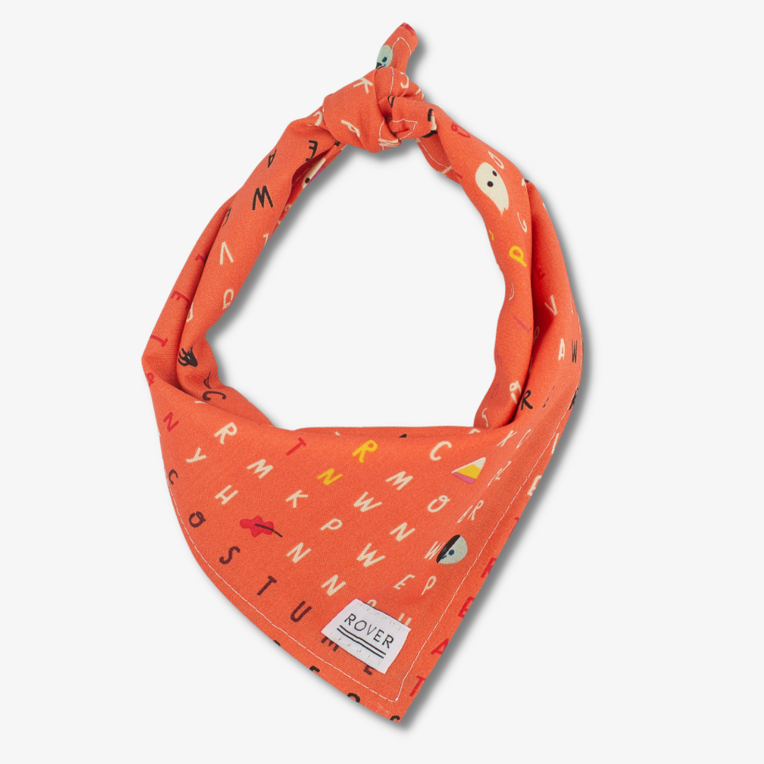 Halloween dog bandana