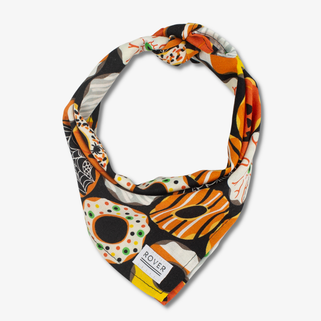 Halloween dog bandana