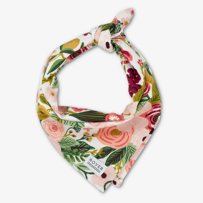 rifle paper co dog bandana