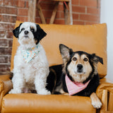 pink dog bandana