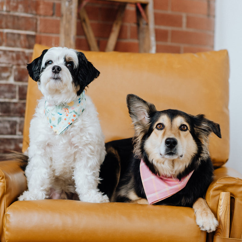 pink dog bandana