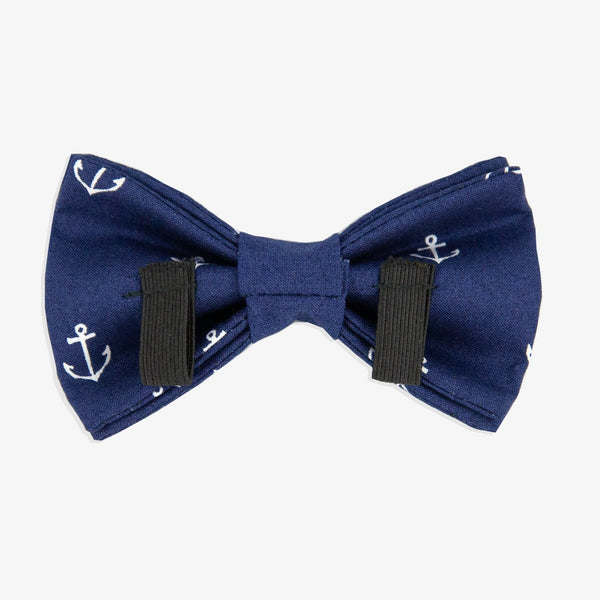 anchor dog bow tie