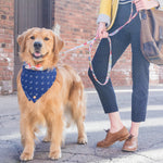 Dog Bandanas Anchor