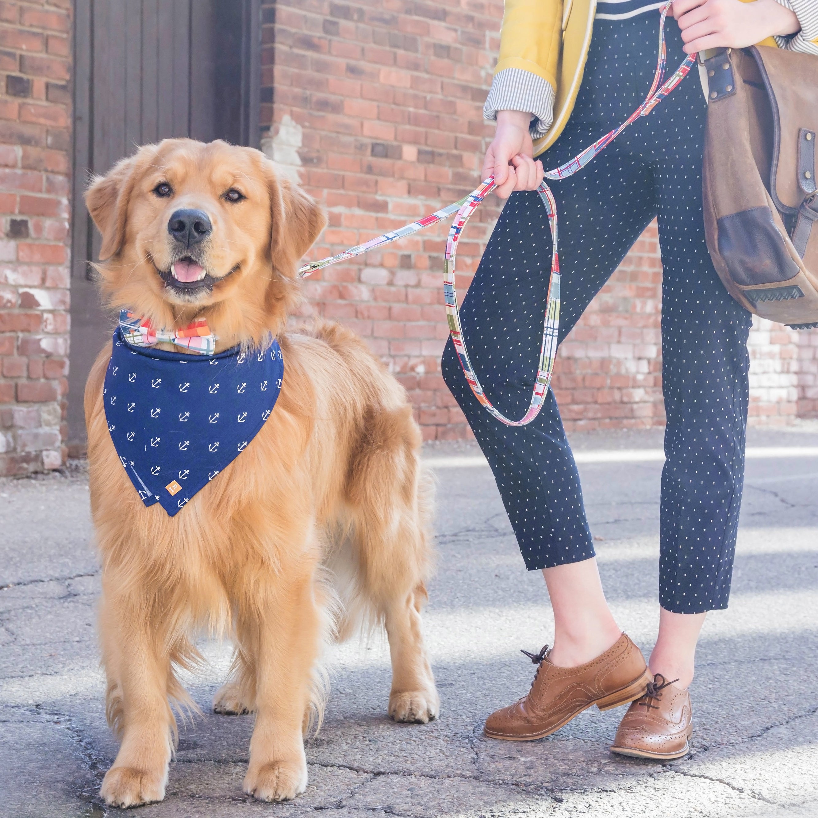 Dog Bandanas Anchor