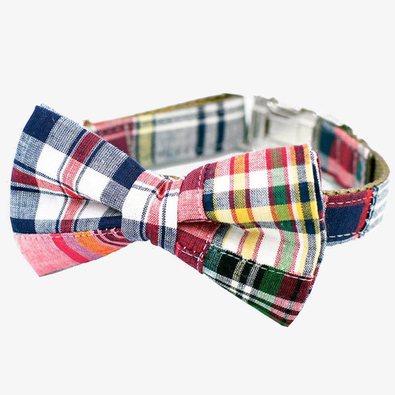 bow tie dog collar madras