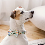 floral bow tie dog collar