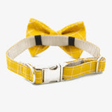 yellow bow tie dog collar