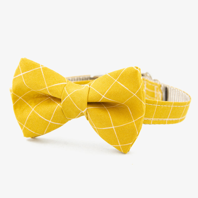 yellow bow tie dog collar