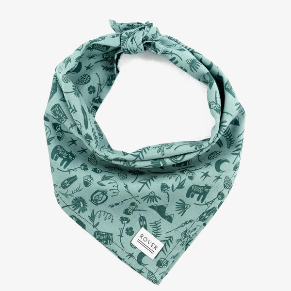 dog bandanas camp
