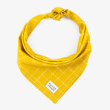 Yellow Dog Bandana