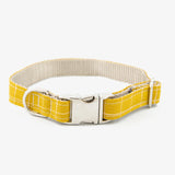 Yellow dog collar