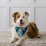 blue floral dog bandana on a dog