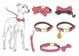 Bow Tie Dog collar