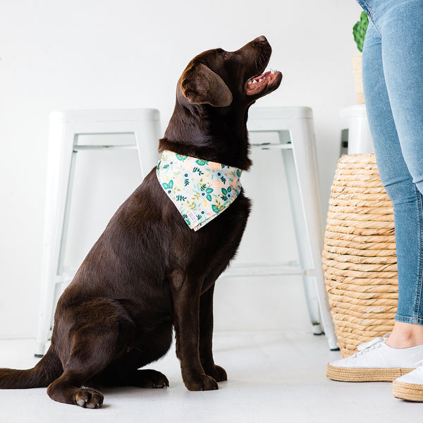 rifle paper co dog bandana