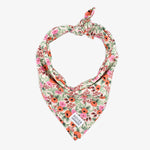 rifle paper co dog bandana