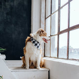 black and white check dog bandana
