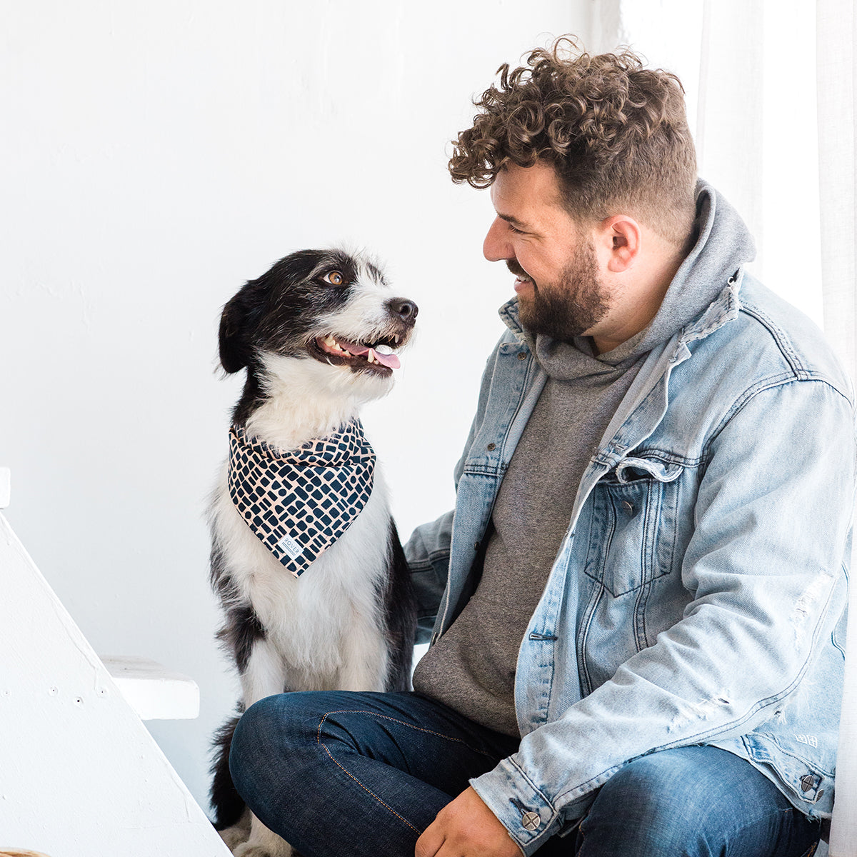 modern dog bandana