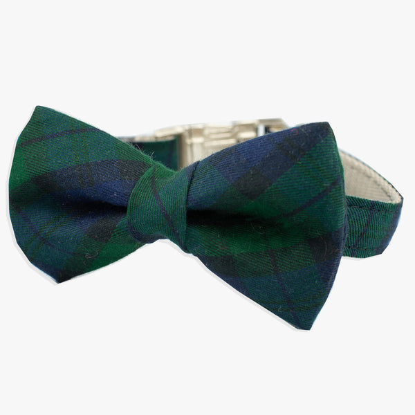 tartan bow tie collar